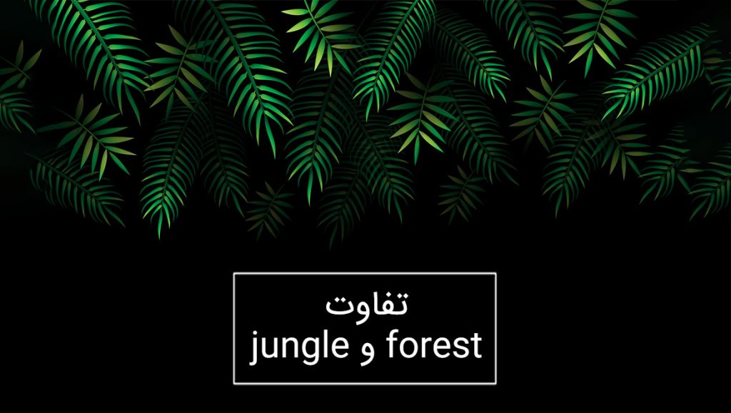 تفاوت forest و jungle در زبان انگلیسی
